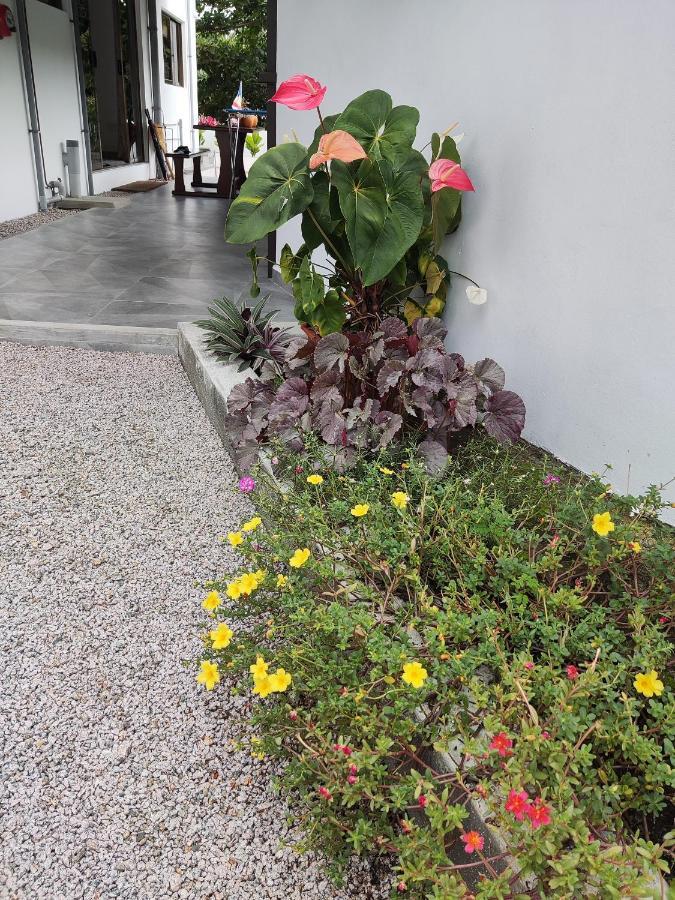 Riverside Mount Simpson - Seychelles Island Beau Vallon  Exterior photo